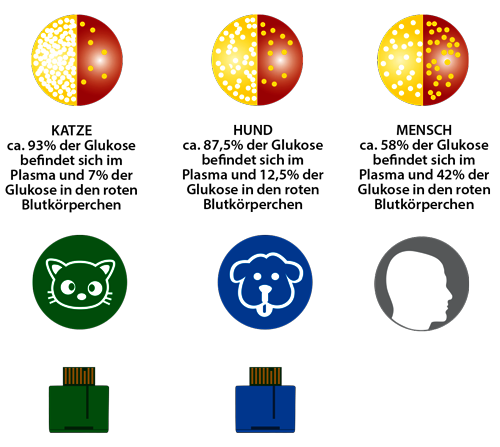 Die Verteilung von Glukose und Plasma im Blut von Menschen und Tieren ist unterschiedlich.